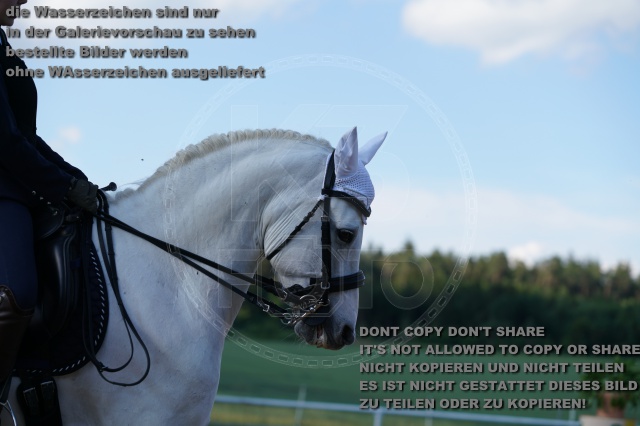s_K3F05007.JPG